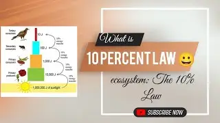 what is 10 percent law 😀 | loss of energy in an ecosystem: The 10% Law #science #biology #important