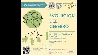 Seminario de Investigación 