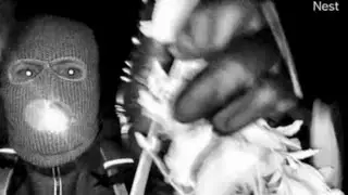 Nancy Guthrie update: Expert breaks down details in new video, images