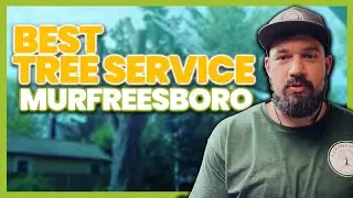Best Tree Service Provider in Murfreesboro TN