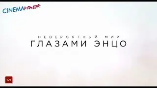 Невероятный мир глазами Энцо / The Art of Racing in the Rain - трейлер (дубляж)