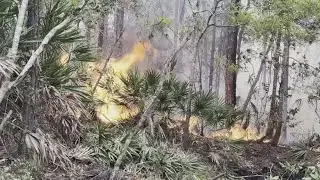 Brush fire in St. Johns County now 100% contained, fire rescue officials say