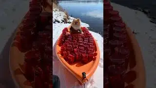 Alaska: Born to Chill