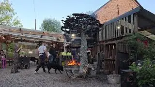 Cooking at Under the Nut Tree, Hereford