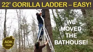 Using the GORILLA LADDER (MPX22) To Relocate Our Bat House - Works great!