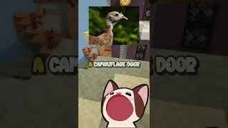 Unbelievable Animal Hunting Skills!