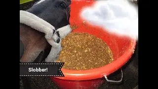 Slobber maken voor Felix # vlog