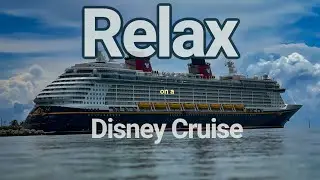 DCL relax & chill