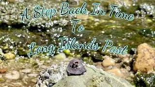 Long Islands Gold Coast Beach...Old Coins, Relics and Jewelry! Found Metal Detecting