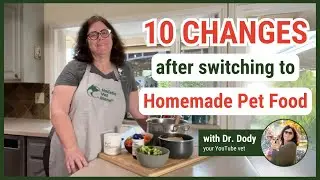 Switching To Homemade Pet Food Improves Your Pet's Health
