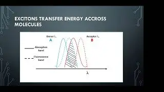 Exciton Energy Migration - Virtual Winter School Comp.Chem. 2022