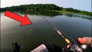 CATCHING GIANT BASS IN GRASS