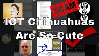 Enthusiastic Inner Circle Trader Chihuahuas Love Vinny's Mansion & Collective2 Track Record | Part 1