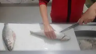 limpando tainha para rechear