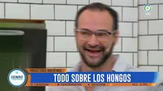 Risotto de hongos