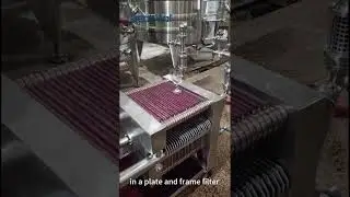 On-site filtration of red wine using a plate and frame filter. #filter #wine #winefilter #filter