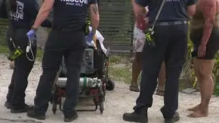 911 call released after dog attack in Fort Lauderdale