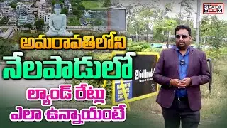 Nelapadu Land Rates | AP Real Estate | Amaravati Land Rates | AP Real Boom