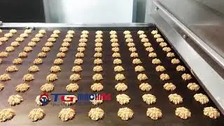 Crispy, Buttery, Perfectly Baked &ndash; Meet Our Automated Cookie Production Line! 🍪✨