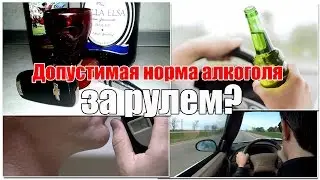 Допустимая норма алкоголя за рулем. Почему именно 0,16 промилле? Просто о сложном