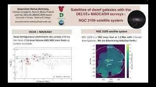 Satellites of Dwarf Galaxies with the DELVE and MADCASH  Surveys  NGC3109 Satellite System-Rare Gems