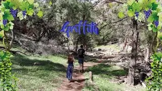 Adventures in Griffith NSW, Australia. Exploring the Hermits cave, Cocoparra National Park + more!
