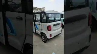 1000W Large space electric mini car