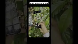 Iphone 13 V's realme GT neo 2 camera test || #tranding #smartphone #youtubeshorts
