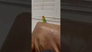 Bdbdbdnvdndvd. Dbdnd dvjj bdbd