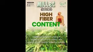 Thiru Foods Millet Marathon Millet Nutrition High Fiber Content | 100% Natural Millet Tiffin Recipe