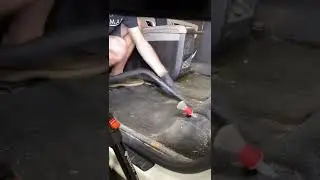 Deep Cleaning The Most INSANELY Dirty Car! | Unreal Car Detailing Transformation