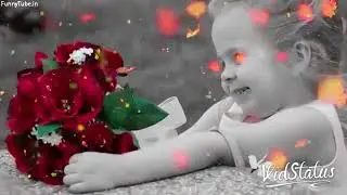 2018 Rose Day Video Status
