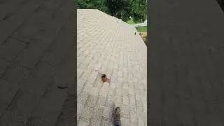 mohave tag shingles color.