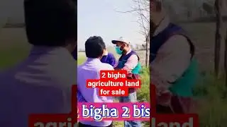 2 bigha agriculture land for sale on national highway