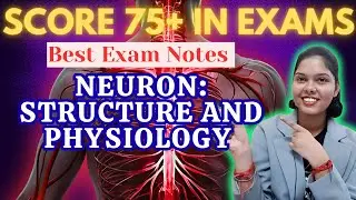 #1 Neuron physiology in Hindi | Types | Structure | Sensory & Motor nerve | Neuron parts