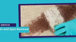Carpet Cleaning -  Geelong