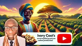 Ivory Coast's Secret to Leading Global Cashew Production!