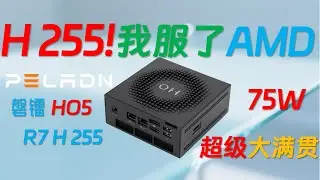【русские субтитры】Полный обзор мини-ПК PELADN HO5 Ryzen H255!