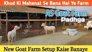 AS Goat Farm Setup In Padhga Bhiwandi | Best Quality Goat Farm | @Rizwankranti
