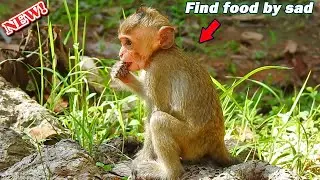 Poor girl! Pity Baby Brandi start learn catch food alone by terrible hungry full night without milk