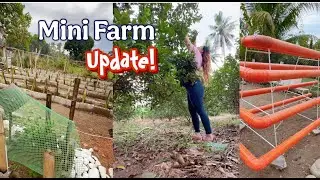 Mini Farm Update | Lovekye8