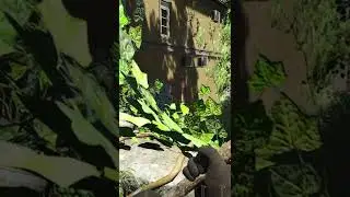 Where The Hell Did You Come From? - Scum Extreme Survival #shorts