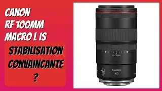 AVIS (2025) : Canon RF 100mm Macro L IS. D&Eacute;TAILS