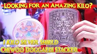 The Chiwoo Doggaebi Silver Kilo Shield Review - Amazing Komsco Kilo