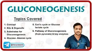 Gluconeogenesis (Hindi) ग्ल्यूकोनिओजिस : Medical Biochemistry