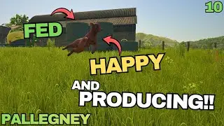 WE CAN FINALLY FEED THE GOATS AND SHEEP!! | FS25 Pallegney Series | Episode 10