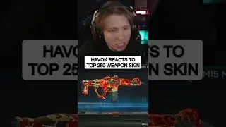 Реакция Havok на топ-250 скинов для оружия