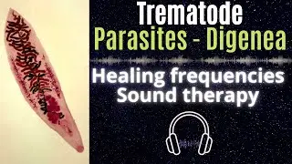 Trematodes & Digenea Parasites | Sucker Worm Cleanse with Rife Healing Frequencies Therapy
