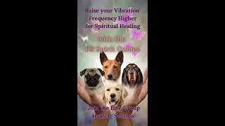 Raise your Vibration Frequency Higher Spiritual Healing #healing #podcast #dogs #shorts