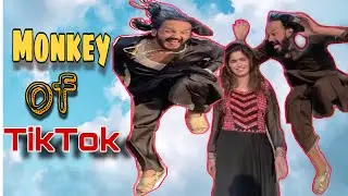 #nomibaba#tiktok#daimrai  Nomi Baba : The Monkey of TikTok | Daim Rai